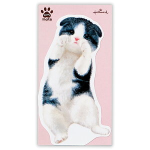 nbs[Cg_CJbg XReBbVtH[h 50 EFM-755-997 Hallmark 10܂Ń[։\ M݌-2-C3