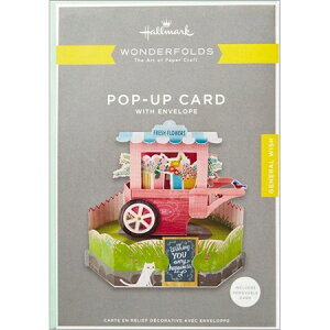 ̃O[eBOJ[h tbVt[J[g EOP-737-801 Hallmark 5܂Ń[։\ M݌-2-C2