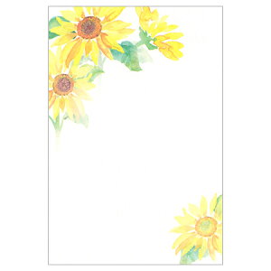 ă|XgJ[h Ђ܂ 3 SCP-834-128 30܂Ń[։\ hallmark M݌-2-C2