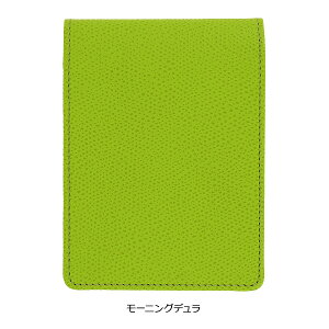 y݌ɌzJ[`[g S AAG01 ɓ