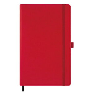 JXe~mm[gAQUA R[bh ~fBA r 5081049 2܂ŃlR|X։\ CASTELLIMIRANO M݌