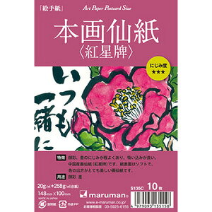 G莆p|XgJ[h {历Egv 10 S135c maruman 8܂Ń[։\