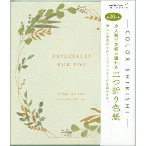 カラー色紙 二つ折り 葉柄 約20人分 33264-006 5冊までメール便可能 MIDORI M在庫