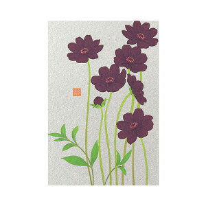 紙シリーズ ポストカード チョコレートコスモス柄 1枚入り 80004-006 midori 30枚までメール便可能 M在庫-2-C2