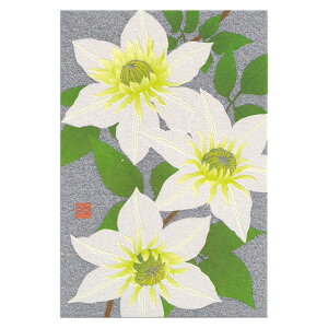 紙シリーズ ポストカード クレマチス柄 1枚入り 88779-006 midori 30枚までメール便可能 M在庫-2-C2