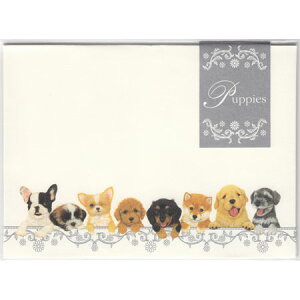 ���� �p�s�[�Y 4���� 3056901 NB 10���܂Ń��[���։\ M�݌�-2-D1