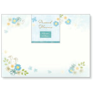  ԁEu[ 412 4406902 NB 6܂Ń[։\ M݌-2-D1