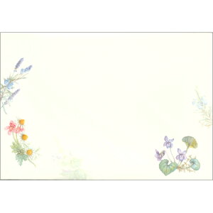  [g n[u 5 4586902 NB 10܂Ń[։\ M݌-2-D1