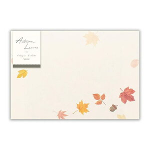  I[^ [tA 24 4596969 NB 12܂Ń[։\ M݌-2-D1