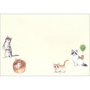 ���� �˂��̂ЂƂƂ� 5���� 4706902 NB 10���܂Ń��[���։\ M�݌�-2-D1