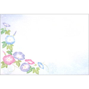 ���� ������ 4���� 4976902 NB 10���܂Ń��[���։\ M�݌�-2-D1