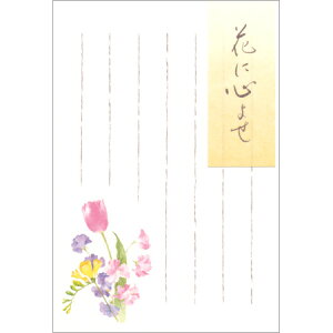 |XgJ[h u[P 5 5802803 NB 30܂Ń[։\ M݌-2-D1