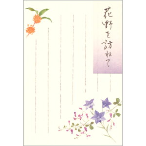 |XgJ[h H̉ԁX 5 5812820 NB 30܂Ń[։\ M݌-2-D1