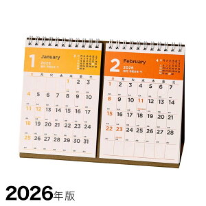 |Cg5{ 2026N2J_[ NOLTY A6ό`TCY ^Cv C249 \ 8܂Ń[։\ M݌-2-B8