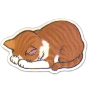 ߂Q}EXpbh g GN-MOP 8܂Ń[։\ A[eB~X M݌