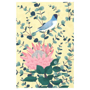 ポストカード プロテアとユーカリ 1枚入り 000583 ※30枚までメール便可能 sotlight M在庫-2-C2