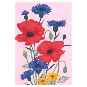ポストカード ポピーと矢車菊 1枚入り 000767 sotlight 30枚までメール便可能 M在庫-2-C2