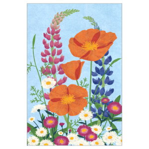 ポストカード カリフォルニアポピー 1枚入り 000859 sotlight 30枚までメール便可能 M在庫-2-C2