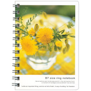 tHgEZB7Om[g _fCI r 105134-54-18 8܂ŃlR|X։\ Gv M݌