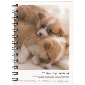 tHgEZB7Om[g ps[cCY r 105134-55-18 Gv M݌ 8܂Ń[։\