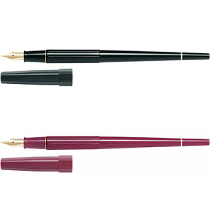 fXNy P-DPP-1S PILOT 10{܂Ń[։\