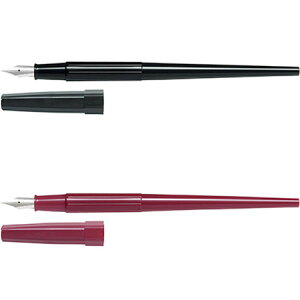 fXNy yEF P-DPP-70 10{܂ŃlR|X։\ PILOT