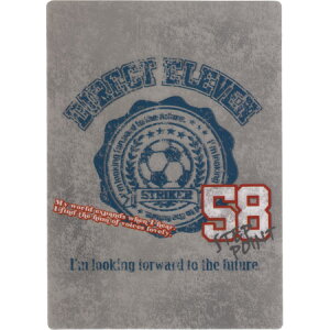 _CNgCu~ B5TCY 85202 15܂ŃlR|X։\ N[A M݌-2