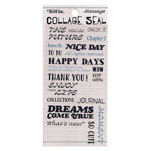 R[WV[ bZ[W BS-MS003 BGM [։\ M݌-2-B1