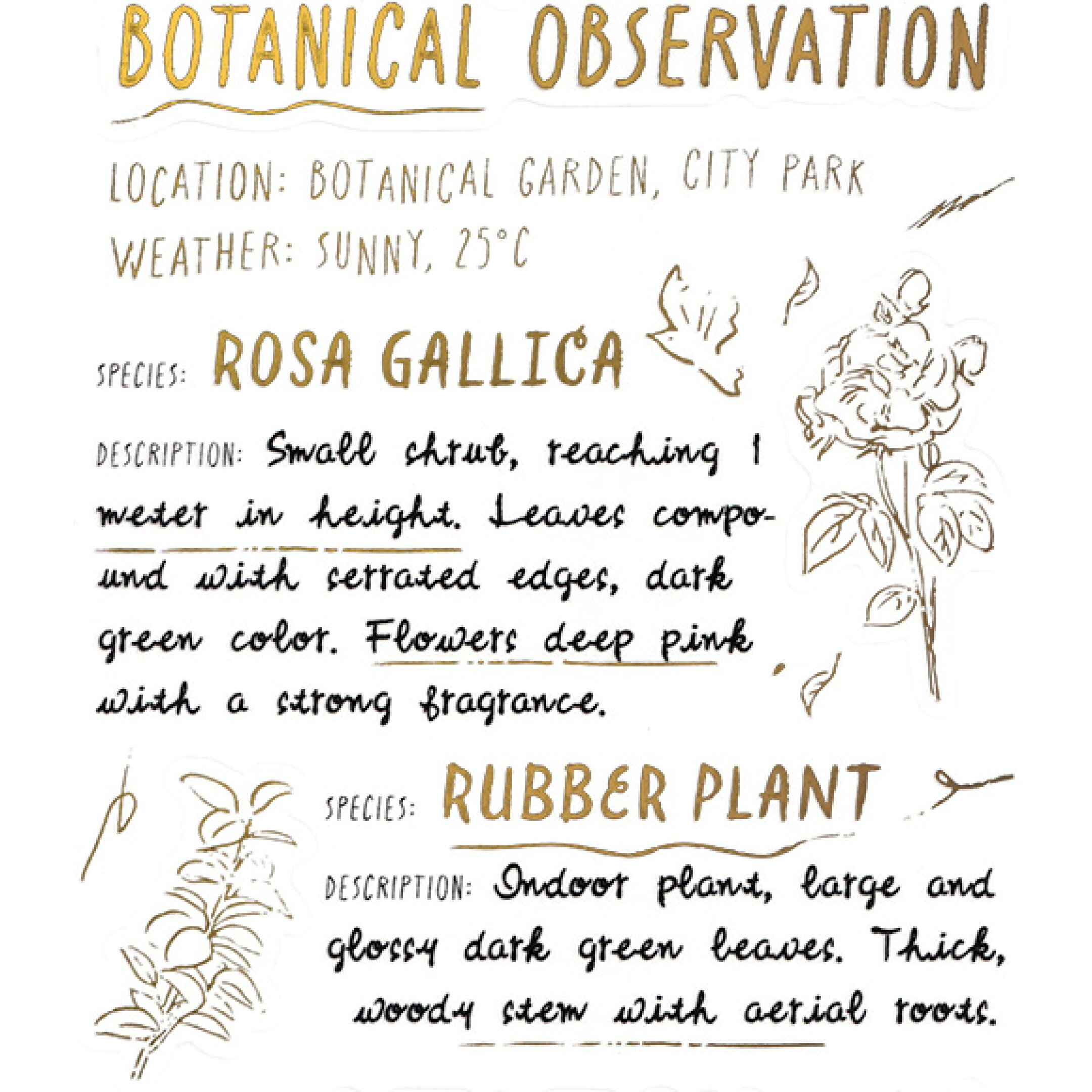 コラージュシール　スケッチ
