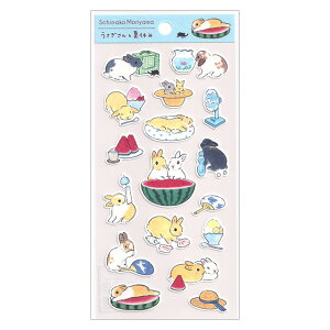 XRWqV[ Ɖċx ST-167s ACTIVE [։\ M݌-2-B1