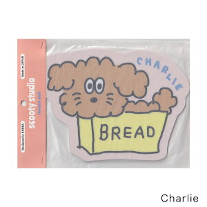 scooty studio}EXpbh 8܂Ń[։\ teBA M݌