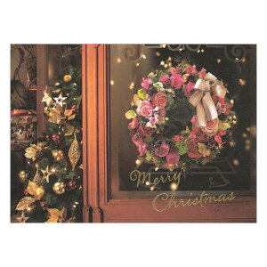 NX}X|XgJ[h [X 1 PX-4284 30܂Ń[։\ EASE M݌-2-C2