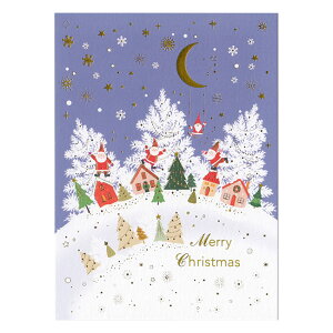 NX}X|XgJ[h iCg 1 PX-4461 EASE 30܂Ń[։\ M݌-2-C2