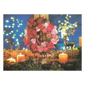 NX}X|XgJ[h [X 1 PX-4473 30܂Ń[։\ EASE M݌-2-C2