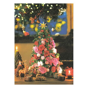 NX}X|XgJ[h c[t[ 1 PX-4474 30܂Ń[։\ EASE M݌-2-C2