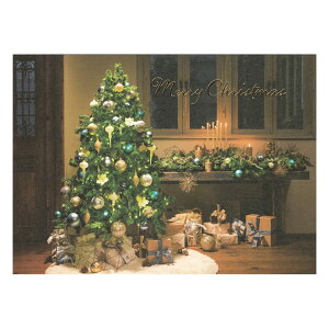 NX}X|XgJ[h c[ 1 PX-4475 EASE 30܂Ń[։\ M݌-2-C2