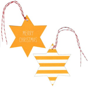 NX}XI[ig^O X^[ECG[ XT-83155 ANeBu 40܂Ń[։\ M݌-2-F6