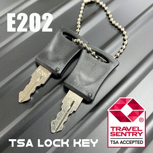 TSAbN Zbg TChbNp E201E206