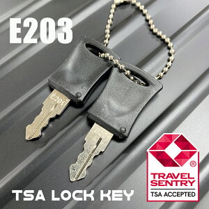 TSAbN Zbg TChbNp E201E206