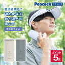 【公式】 ピーコック アイスパック ラージ 携帯氷のう 氷嚢 水筒型 保冷 熱中症対策グッズ ビッグサイズ シリコーン製…