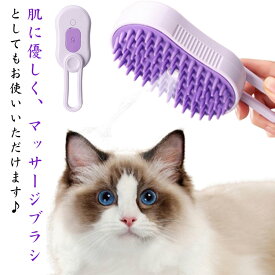 ねこ 犬猫両用 噴霧式 いぬ ペットブラシ 長毛 短毛 犬 猫 ミスト ペットブラシ ブラッシング ペット 充電コード付き ブラシ 犬ブラシ 猫ブラシ 犬猫兼用 スチームブラシ 蒸気