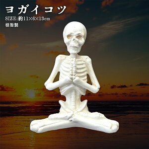 KCRc u hN u XJ IuWF F|[Y K|[Y [ SKULL AhN Be[W AeB[N hN CeA K[fjO