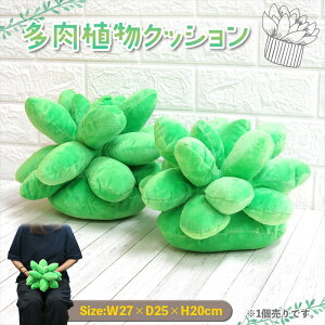 A NbV 񂹐A@A K[fjO@@v^[@O[@@A@ʂ݃NbV@25@AEghA OUTODOOR Lv@Lp[@CeA@Mt