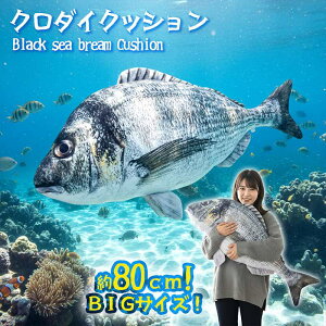 N_CNbV ܂ ^NbV  ނ 勛  80cm ނ NbV NbV ANbV rbONbV NbV AEghA Lv