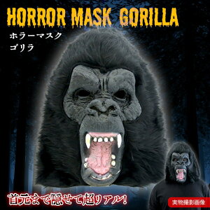 z[}XN S }XN X^[ ]r RO RXv nEB  p[eB[ObY A}XN SNS@ z[ hbL TvCY tFCX}XN S q Ce