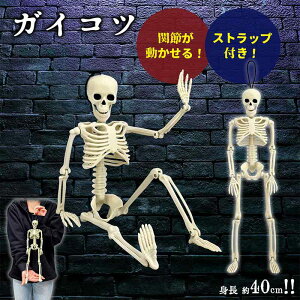 KCRc u hN Xgbvt ݂艺hN XJ IuWF [ SKULL 40cm nEB p[eBObY AhN hN CeA