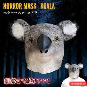 z[}XN RA }XN X^[ ]r RO RXv nEB  p[eB[ObY A}XN SNS@ z[ hbL TvCY tFCX}XN S q Ce