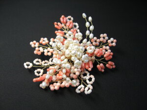 VR{XRT[WisNTSj u[` /R[/sNX聄3a΂񂲁@DȌ`ɃAWł􁃓{nhCh I[ANZT[