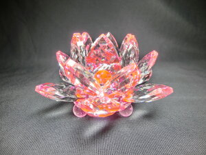 NX^ @ () sN  K^̃CeA nhCh`K^ NX^ [^X Q nX̉ TLb`[