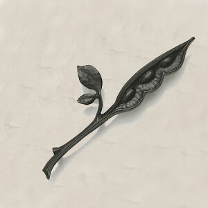 yKXzy|CgUPzfB[YK[f ~jI[igH fB[YTC \D RNV 킢 